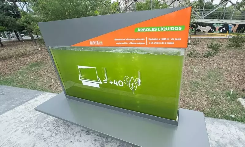 Innovación Urbana: Bio-reactores de Microalgas Combatir la Contaminación del Aire en Ciudades