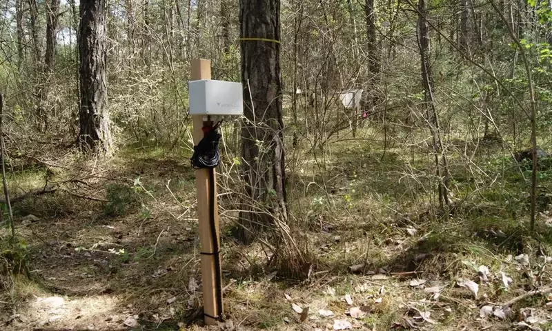 EcoSentinel: Plantas como Sensores Vivos para la Protección Forestal
