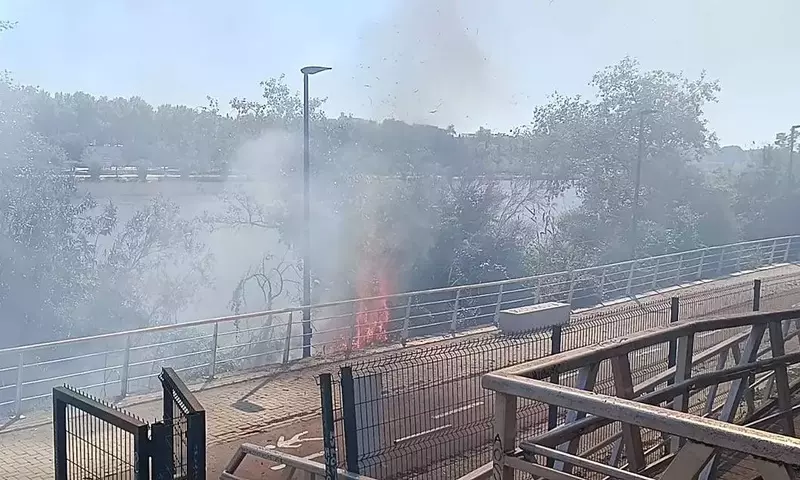 Incendio en los Jardines del Guadalquivir y Nuevas Propuestas para su Dinamización