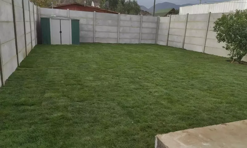 Jardinería Sostenible: Más Allá del Césped Tradicional