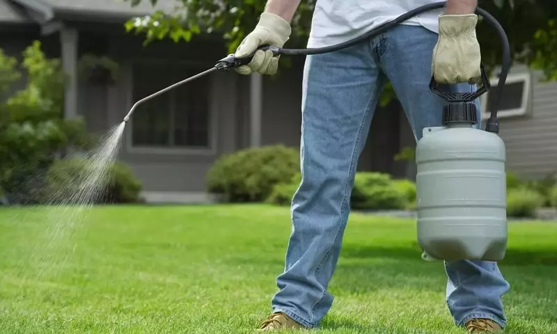 Jardinería Sostenible: Un Enfoque Ecológico para tu Espacio Verde