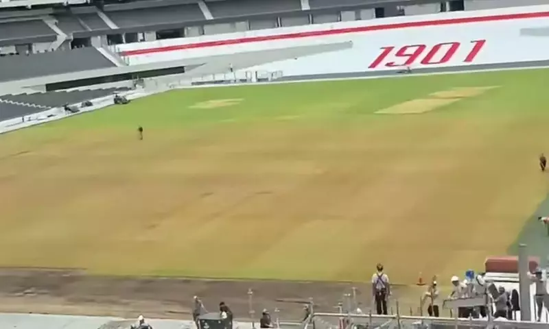 Preocupación por el estado del césped del Monumental tras conciertos de AC/DC