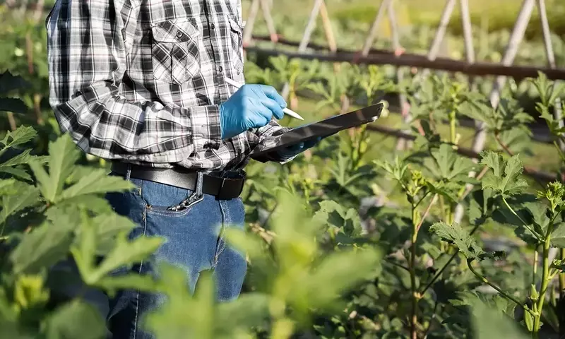 Garantizando la salud agrícola: Un análisis de la defensa normativa de los cultivos en la modernidad.