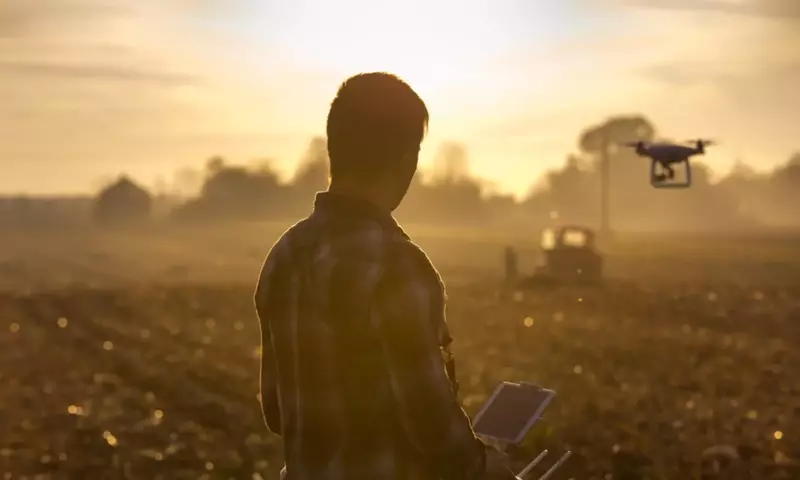 La Agricultura Regenerativa: Pilar del Futuro Agrícola Sostenible