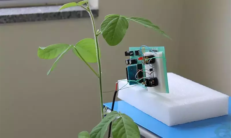 Innovación en el Control de Plagas Agrícolas: Vibraciones y Ultrasonidos como Alternativa Sostenible