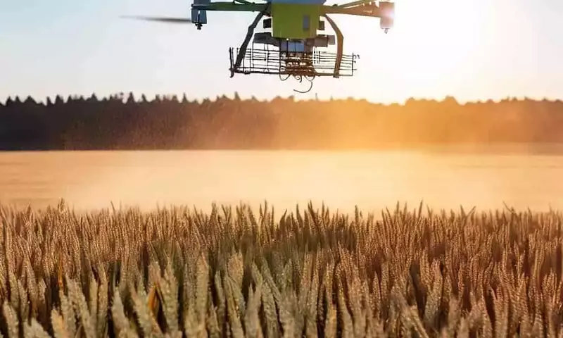 Revolución Agrícola: Drones, ADN y Clima para la Predicción de Enfermedades