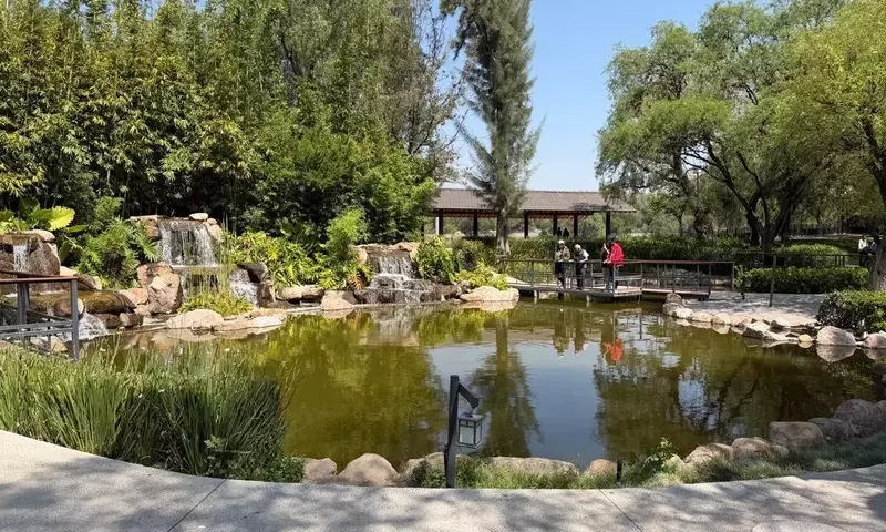 El Parque Japonés Tangamanga I: un oasis de paz y un desafío de conservación en San Luis Potosí