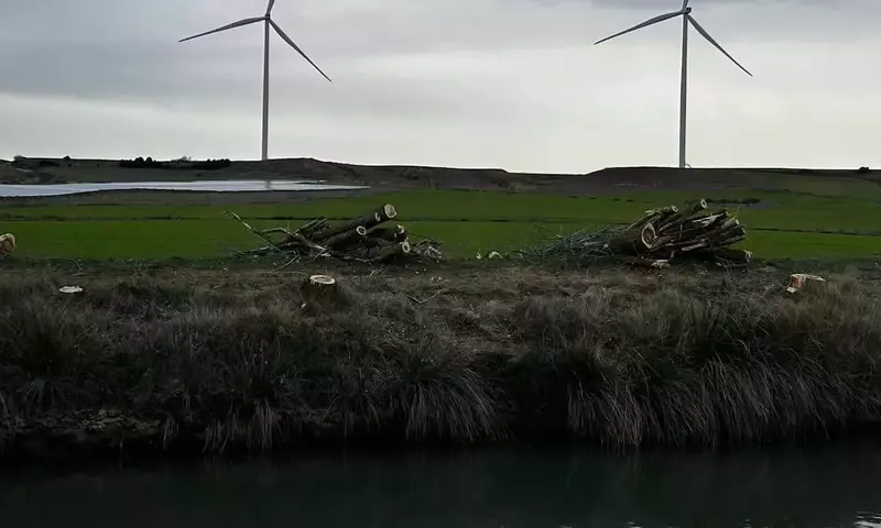 La Controversia de la Tala de Árboles en el Canal de Castilla: Un Choque entre Desarrollo y Conservación