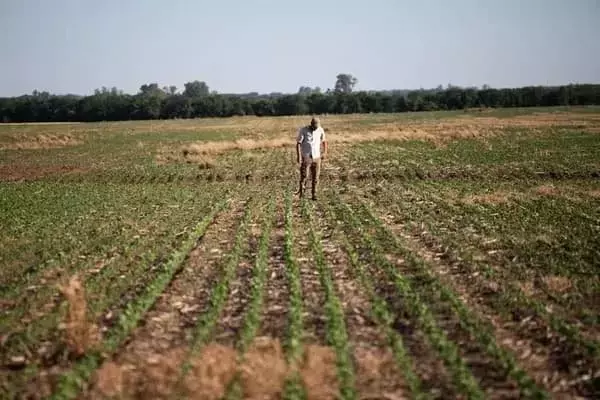 La Revolución en el Control de Malezas: Argentina Lidera con una Innovación Histórica