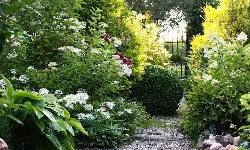 La Filosofía de la Jardinería Consciente: Reconectando con la Naturaleza a Través del Cuidado Lento del Jardín