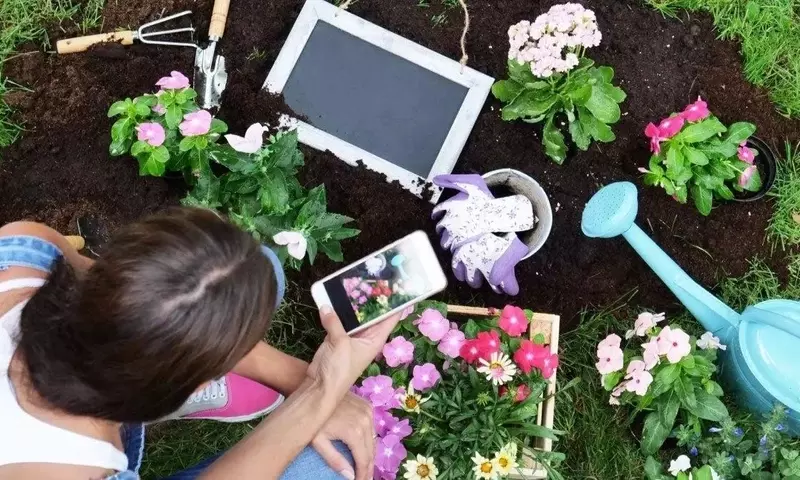 Revoluciona el Cuidado de tus Plantas: Las Apps Indispensables para Jardineros Urbanos
