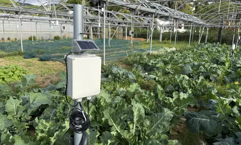 Revolucione Su Jardín: La Guía Definitiva de Huertos Inteligentes