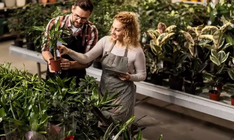 Guía Completa para Elegir la Planta Perfecta y Asegurar su Supervivencia