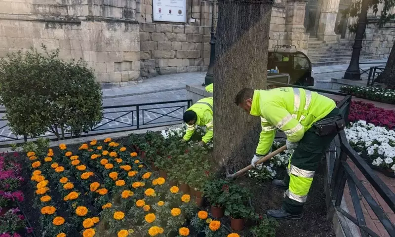 Explosión Floral Transforma la Plaza Principal de Yecla