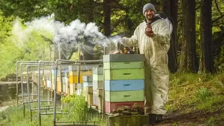 Xesús Graña: El Guardián de un Santuario Apícola con Diez Millones de Abejas en Galicia
