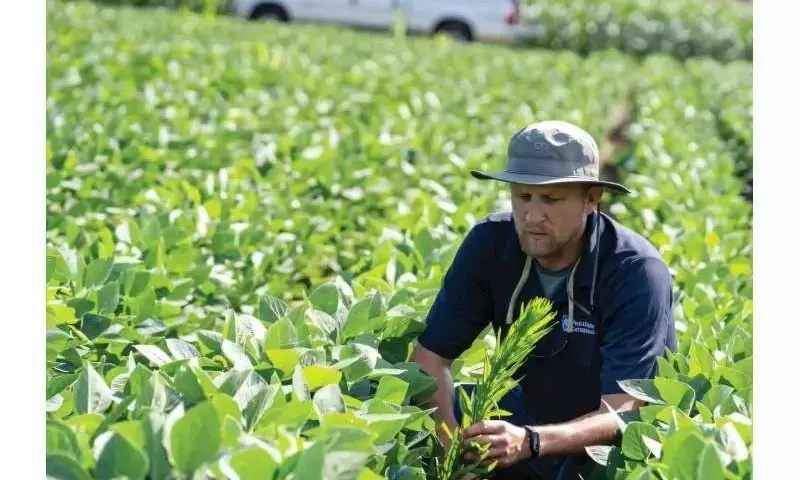 Agricultura Resiliente: Adaptándose a la Imprevisibilidad Climática y Plagas Emergentes