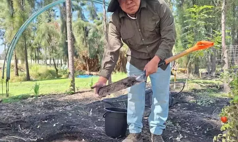 Mejora del Suelo y Nutrición: Un Proyecto Integral en México