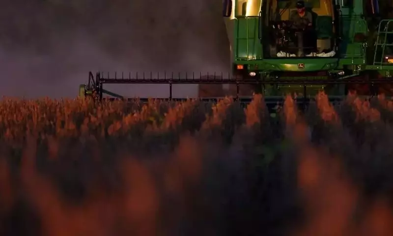Lluvias en Argentina: Impacto en la Cosecha y el Potencial de los Cultivos