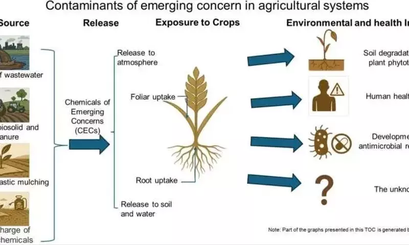 Alertan sobre Contaminantes Emergentes en Cultivos: Riesgos Silenciosos para Salud y Agricultura