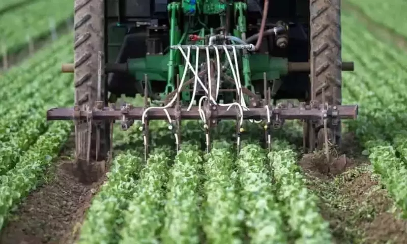 Fertilizantes nitrogenados: Presión alcista en el mercado global
