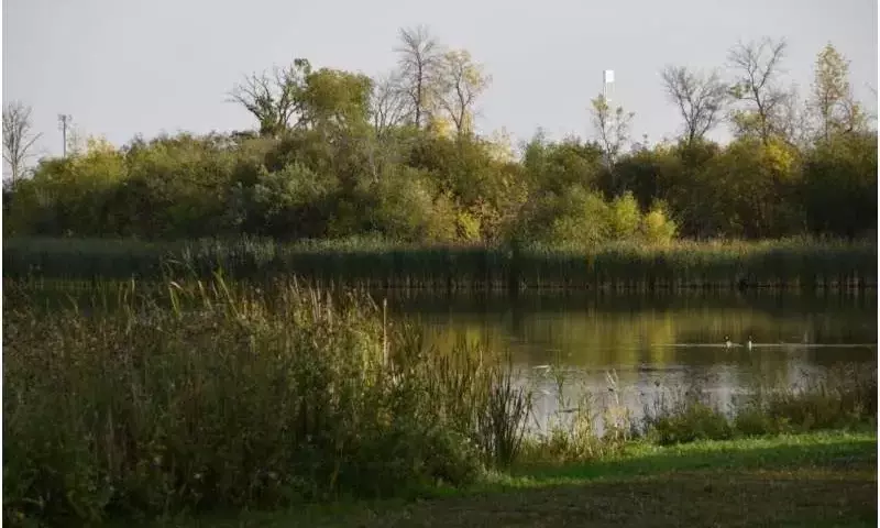 Urea y su Impacto en la Calidad del Agua: Un Estudio Revelador en las Praderas Canadienses