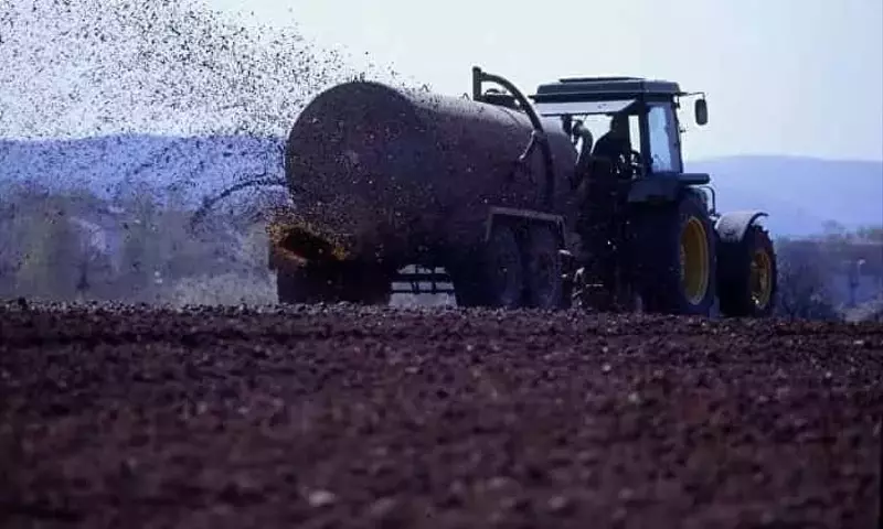 El Estiércol: Una Solución Agrícola Renaciente