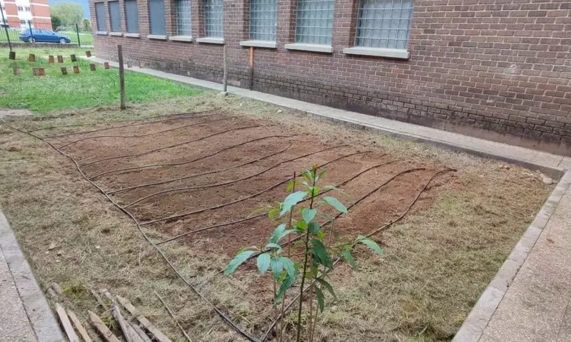 Huertos Escolares en Ponferrada: Sembrando Educación Ambiental y Sostenibilidad