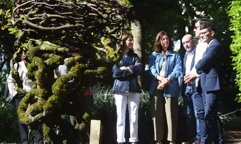 Galicia Impulsa la Protección de sus Árboles Emblemáticos con Nuevas Ayudas Económicas