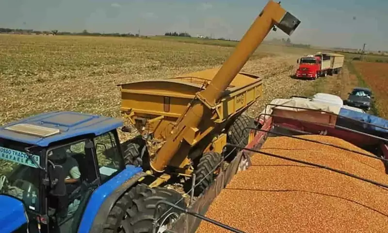 Cosecha Agrícola Argentina Supera Marcas Históricas: Un Impulso Sin Precedentes para el Sector