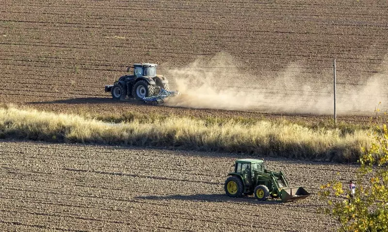 El Pistacho: Un Crecimiento Exponencial en la Agricultura Española
