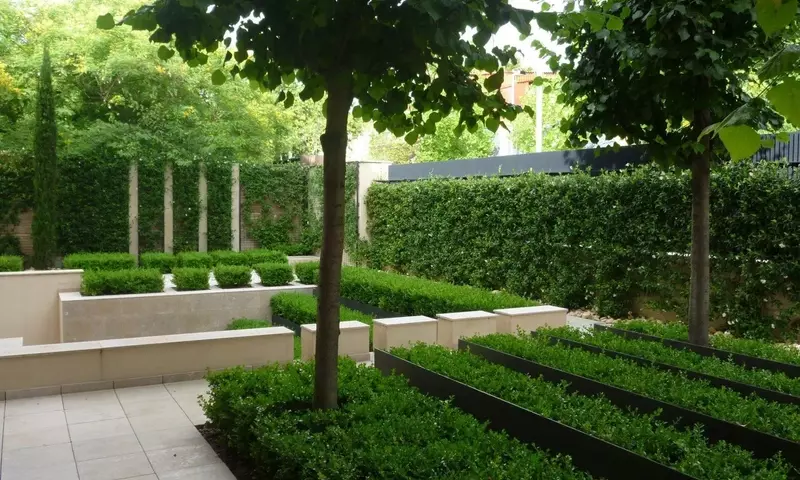 Transformando tu Jardín para Soportar Veranos más Cálidos: Estrategias de Adaptación Climática