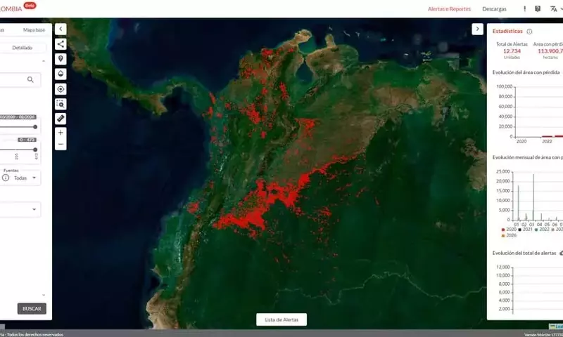 MapBiomas Alerta: Revolucionando la Vigilancia Forestal en Colombia con Tecnología Satelital