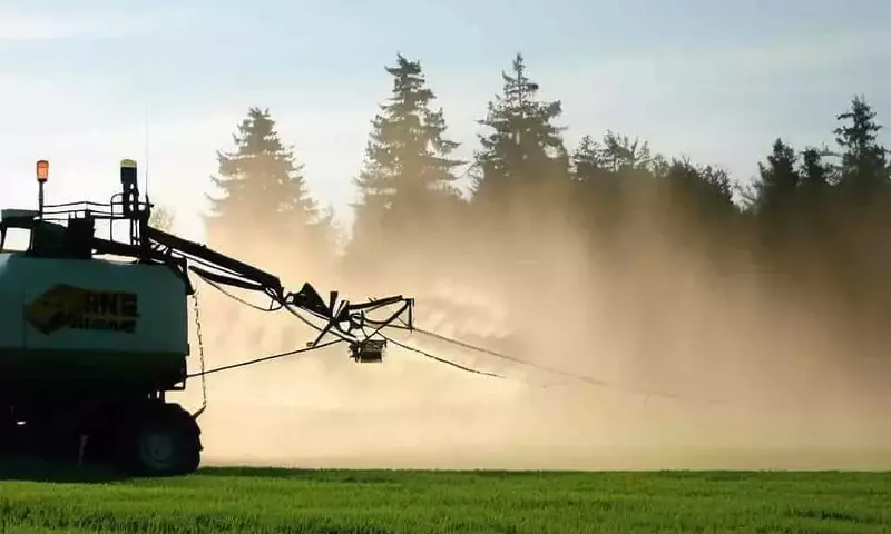 Bayer en la Encrucijada Judicial: El Futuro del Glifosato en la Corte Suprema de EE. UU.