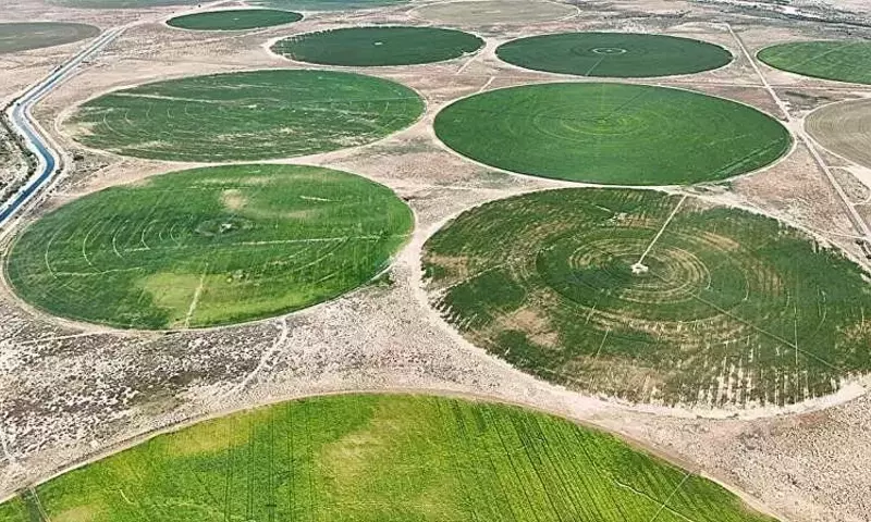 Transformación Estratégica del Riego Agrícola en EE. UU.