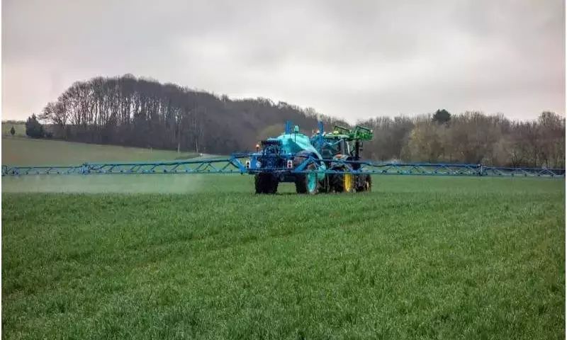 Innovación Agrícola: Equilibrio entre Fertilizantes Orgánicos y Sintéticos para una Cosecha Sostenible