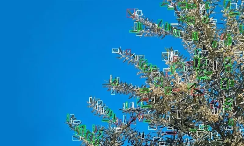 Revolución Agrícola: El Robot con IA que Erradica Plagas en Segundos