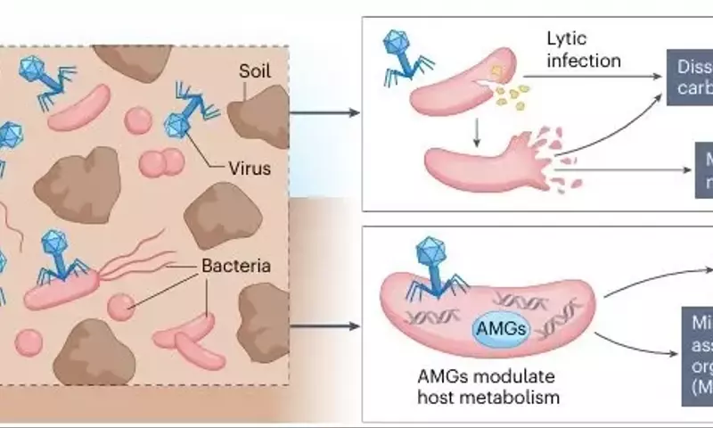 Virus: Impulsores Inesperados del Clima y la Fertilidad del Suelo