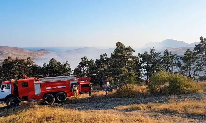 Manejo Integral de Incendios: Una Estrategia Sostenible