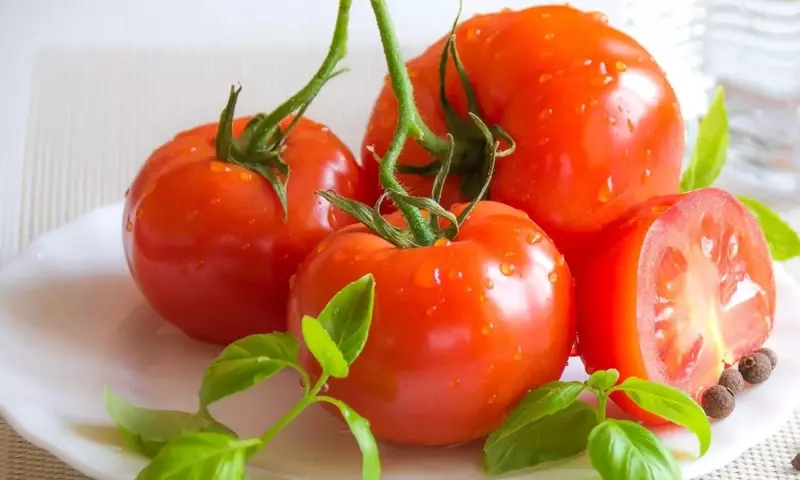 Por qué las plantas de tomate no producen frutos y cómo solucionarlo