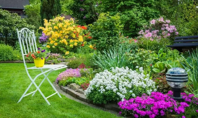 Transforma tu Pequeño Jardín en un Oasis de Amplitud Visual