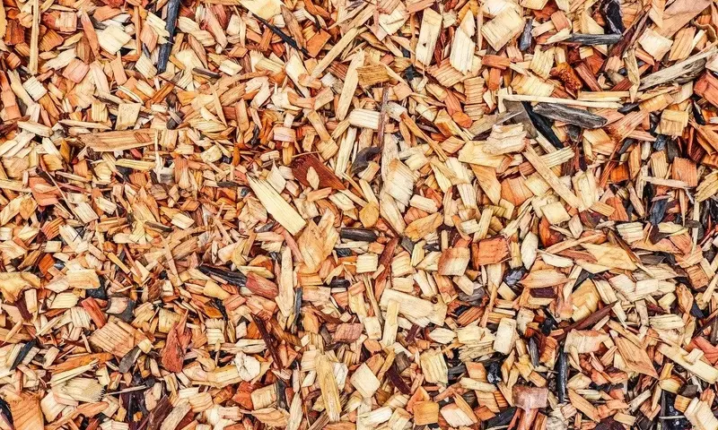 Acolchado Ecológico Casero: El Secreto para un Jardín Vibrante en Verano
