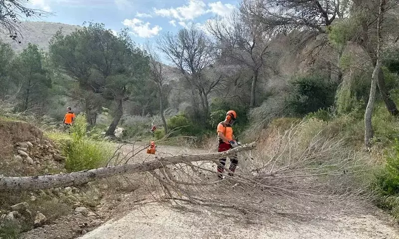 Gestión Integral en Serra Gelada: Lucha contra la Sequía y Protección Forestal