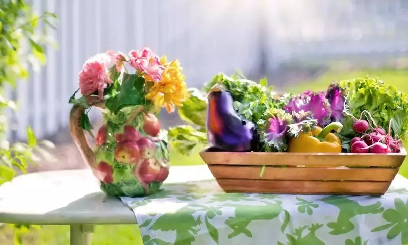 Jardines Productivos: La Fusión Perfecta de Belleza y Utilidad