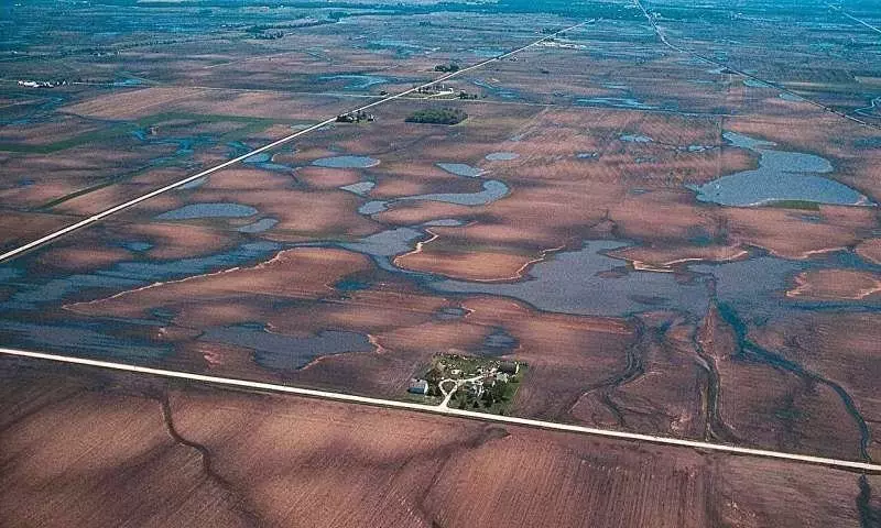 Agricultura en Illinois: Desafíos y Adaptaciones ante Lluvias Intensas