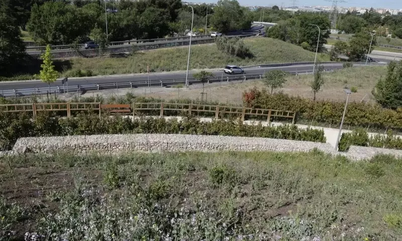 Transformación Verde en Orcasitas: Un Pulmón Urbano para Usera