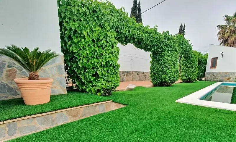 Transforma Tu Jardín: Estrategias Aromáticas para un Oasis Sensorial