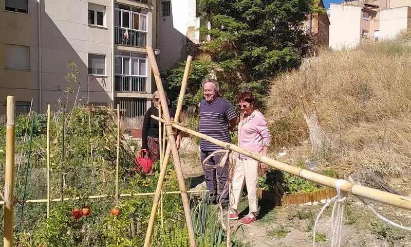 Huertos Urbanos de Zamora: Una Iniciativa Sostenible en Expansión