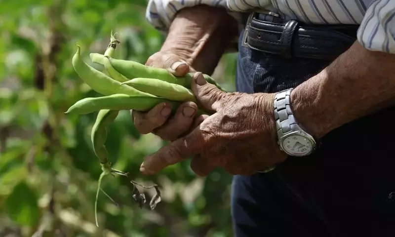 Mayo: Clave para un Jardín y Huerto Exitosos