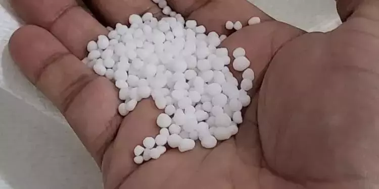 Insumos Agrícolas: Reducción de Precios en Fertilizantes Nitrogenados Ofrece Alivio al Sector