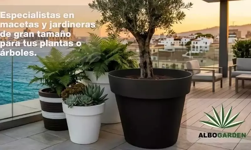 Maceteros de gran tamaño: Recreando espacios verdes